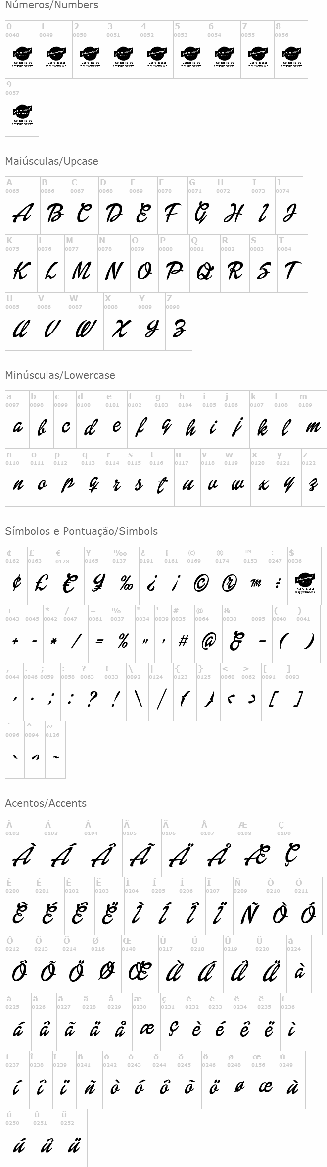 Dollie Script